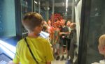 laboratorium czerwiec 2023  (5)