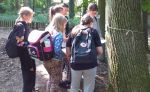 Szkoła Leśna na Barbarce (16)
