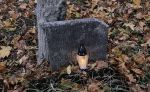 Podziel się zniczem (3)