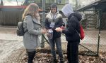 wosp2025 (9)