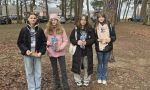 wosp2025 (12)